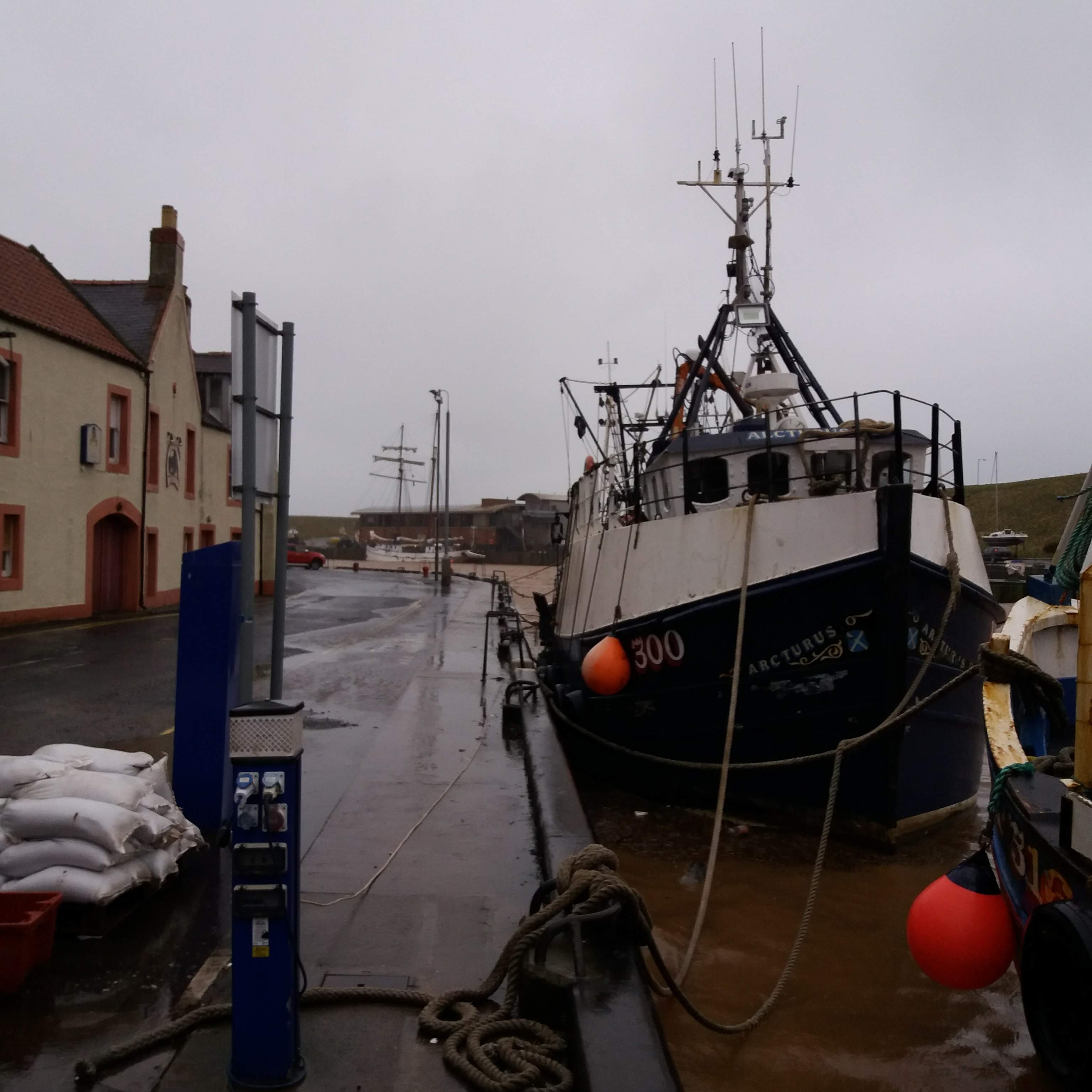 Commercial fishing (Netting)  Berwickshire & Northumberland Marine Nature  Partnership