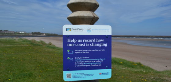 CoastSnap Summer News